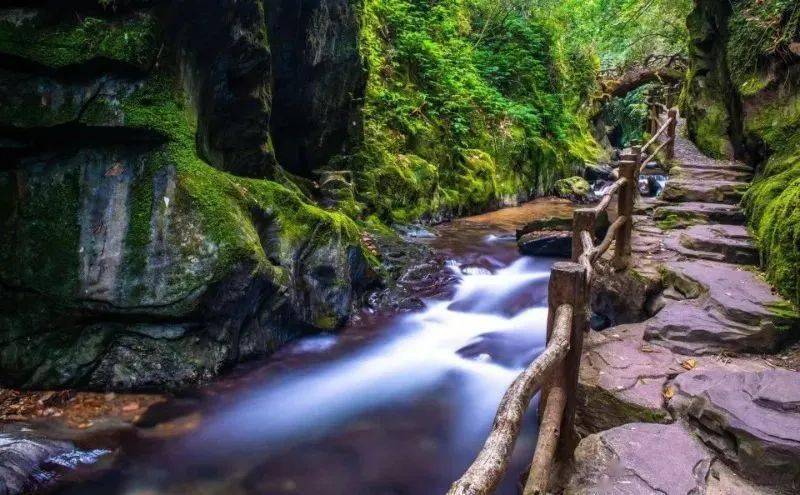 云南花腰傣开元森泊度假乐园云南花腰傣开元森泊度假乐园位于新平县