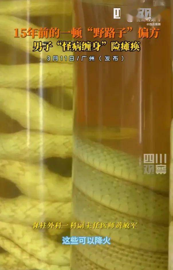 男子怪病缠身险瘫痪竟是和吞蛇胆喝蛇药有关