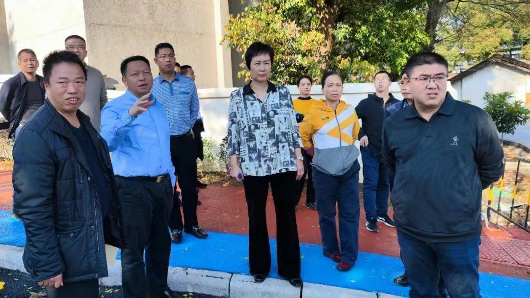 罗海俊调研大塘镇枫湾镇百千万工程典型镇村选树培育工作