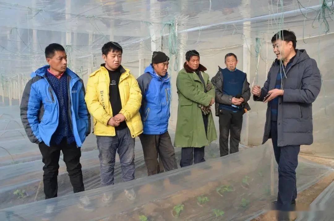 【街镇动态】郑路镇"珍珠红"西瓜:实现标准化生产