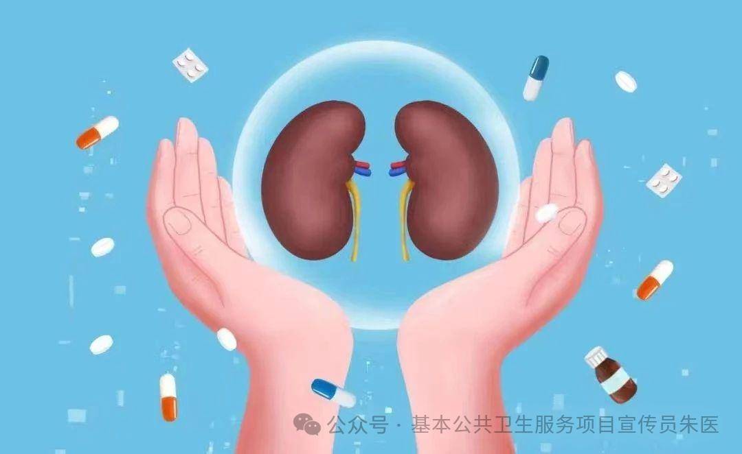 如何科学预防肾脏病关注肾脏健康定期进行尿常规,肾功能,泌尿系彩超等