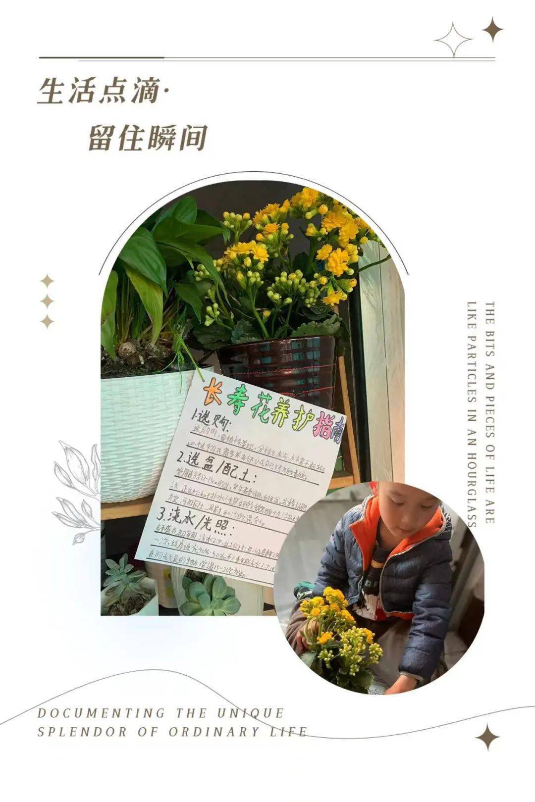 播种绿色爱护家园拓东二小2024年植树节爱绿护绿主题系列活动