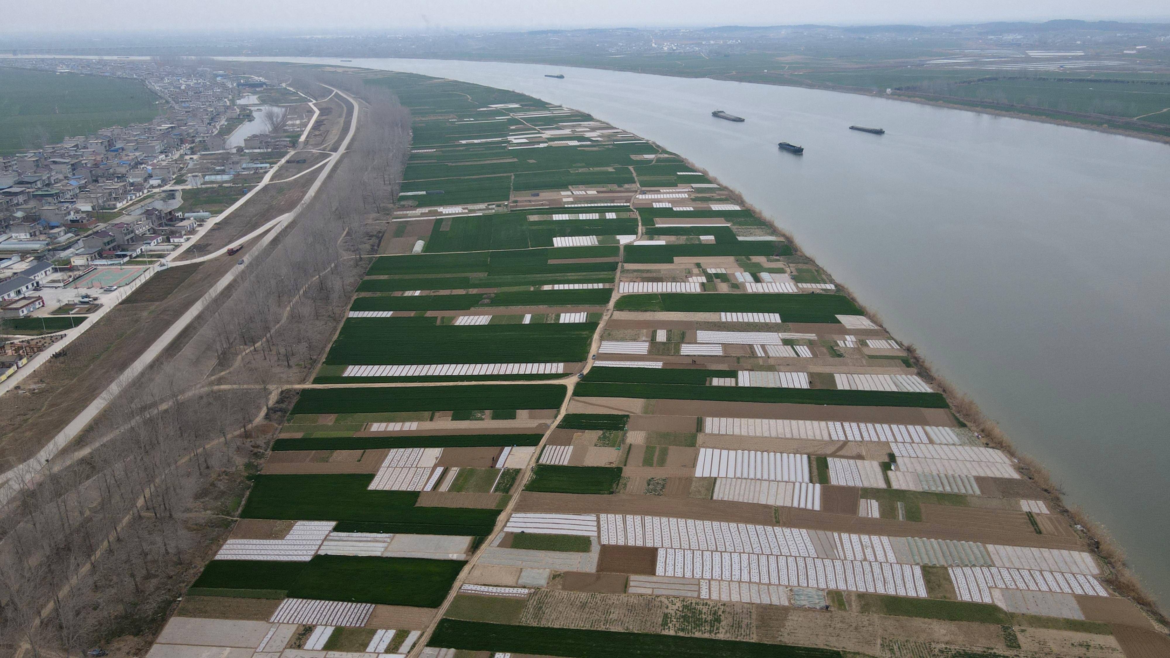 3月13日在安徽省蚌埠市五河县头铺镇拍摄的农田(无人机照片).