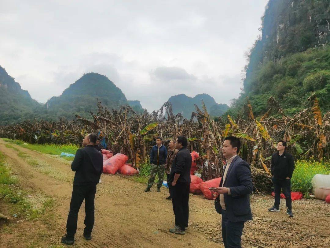 走进基层陆斡镇澄泰乡人大代表助力春耕有序开展