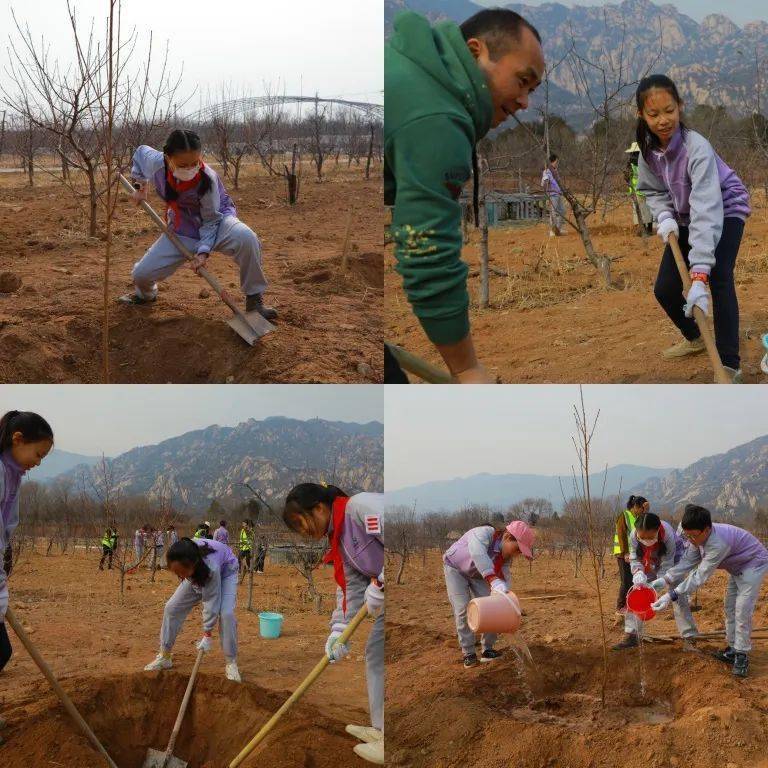 植一抹绿色树环保新风丨海淀各中小学少先队组织开展