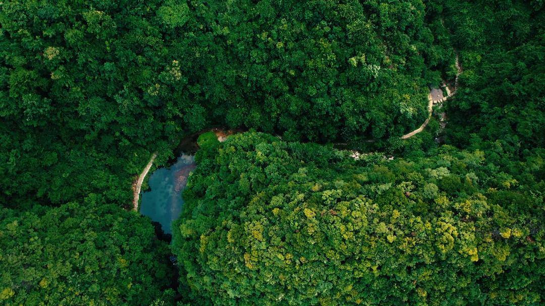 南漳县翡翠峡景区19优惠政策:凭准考证享受门票半价优惠.