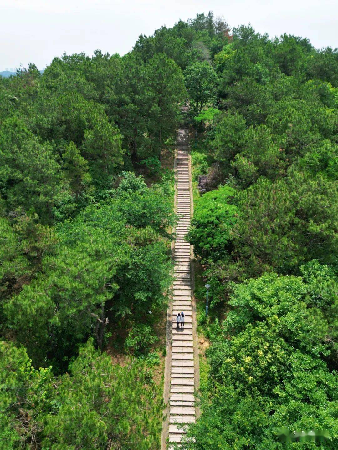 青龙山旅游度假区门票图片