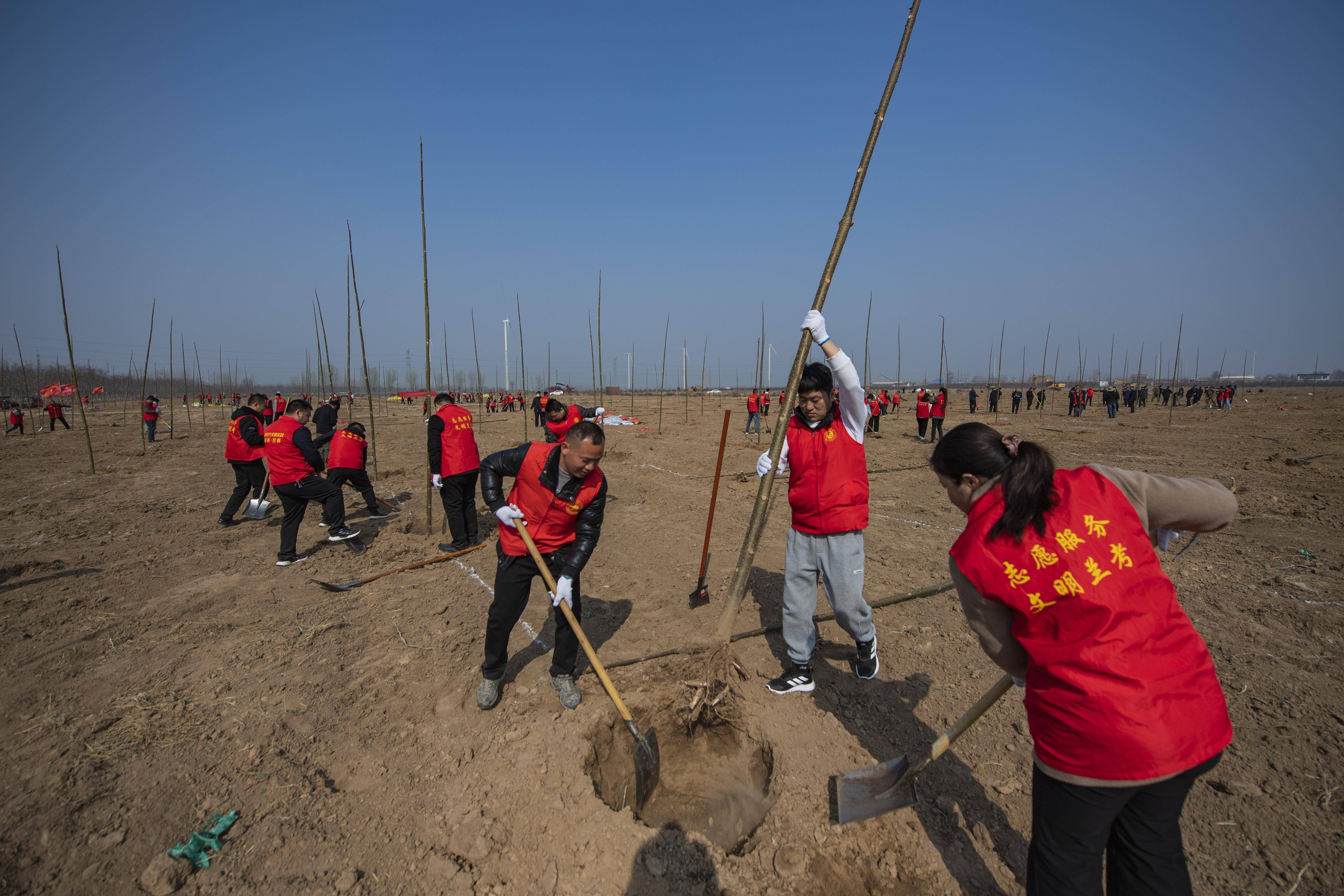 植树节兰考举行春季义务植树活动