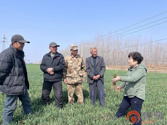 枣庄市市中区税郭镇牛角村邀请农技专家深入田间地头把麦问诊