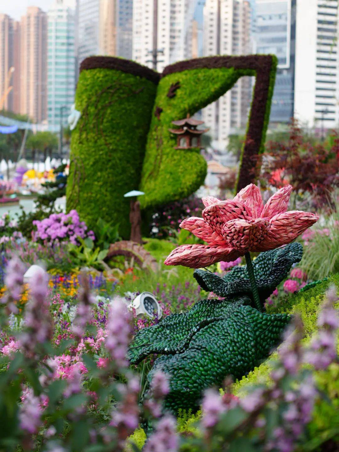 西子春色靓香江最杭州醉西湖荣获2024年香港花卉展览大奖