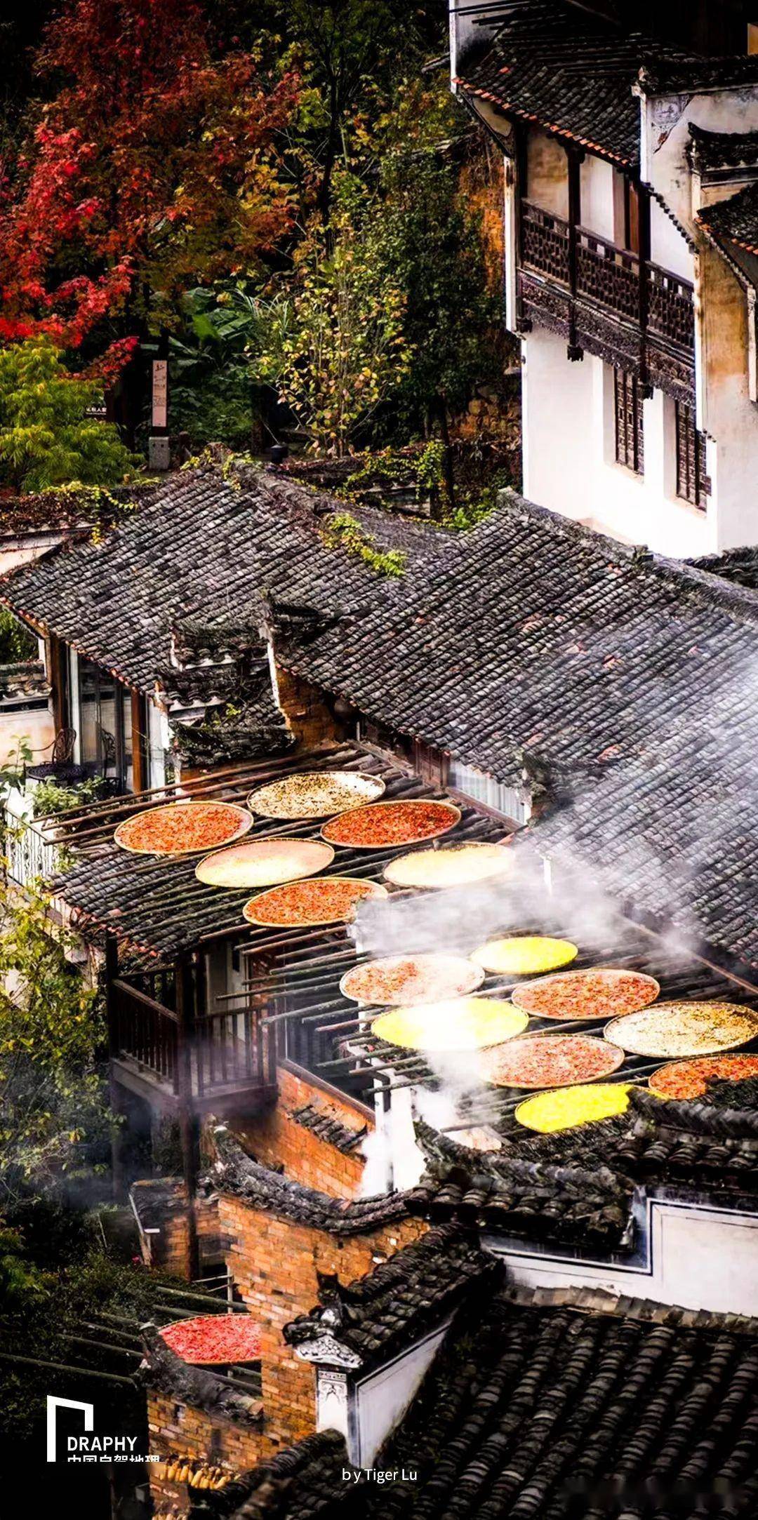 定了春天的第一趟休闲游选这条不挑车型的自驾环线