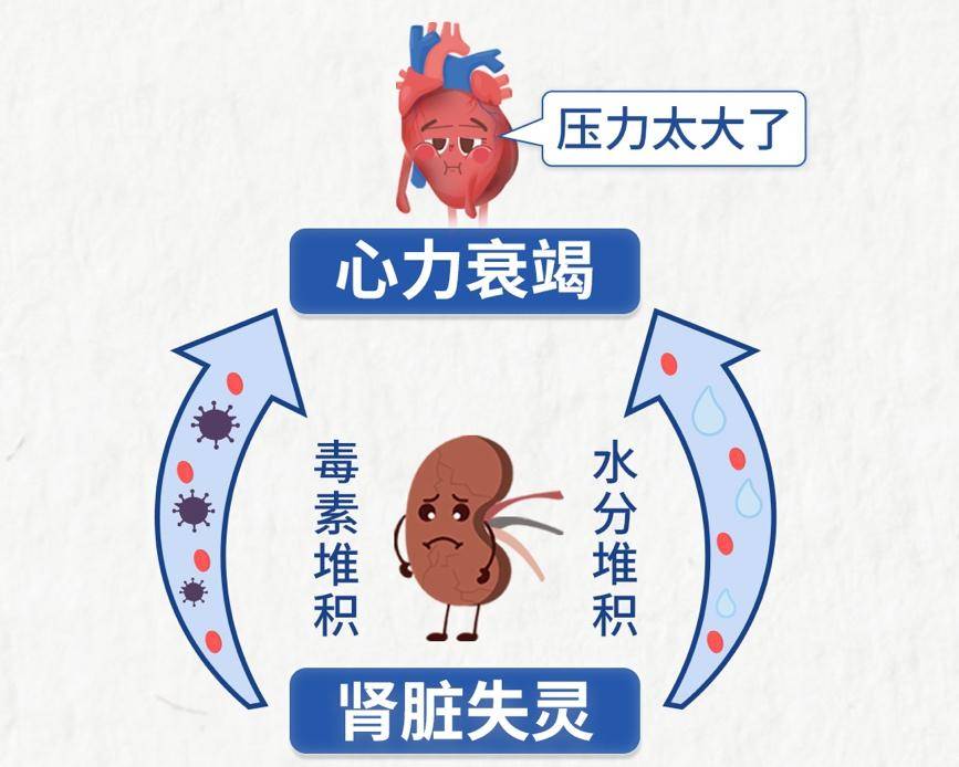 肾脏萎缩图片