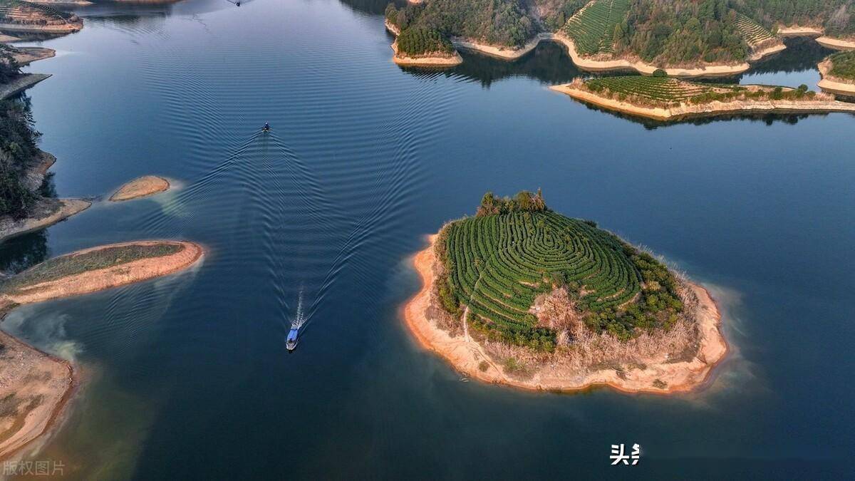 浙江杭州千岛湖上岛屿茶园绿意盎然,茶香四溢_淳安县_高低_乡村