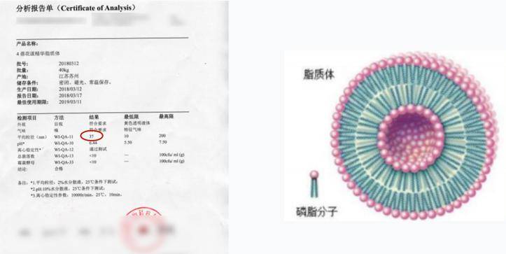 我逢人就推的抗老面霜吊打千元大牌30天内不满意不要钱