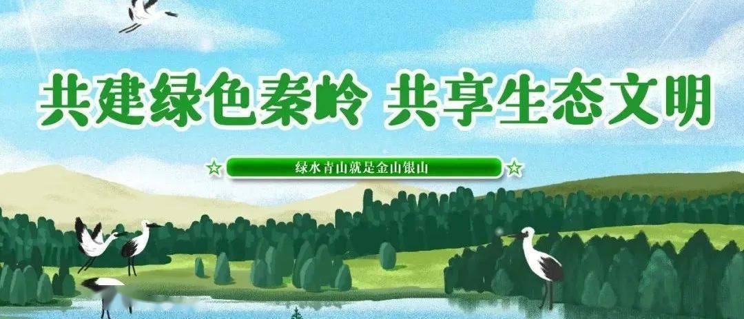 秦岭生态保护宣传标语图片