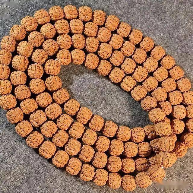 为何金刚菩提子这么虐手你却如此狂热的追逐求答案