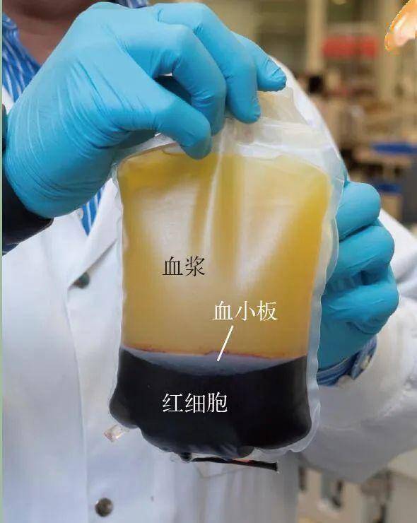 如何用自己的血救他人的命