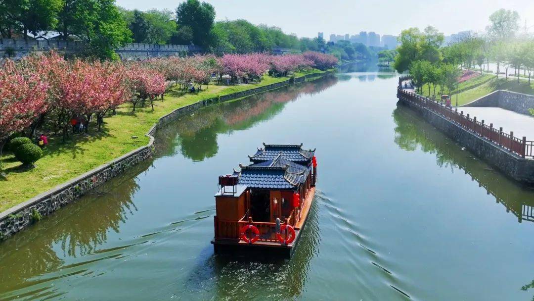 官方赏花攻略来了荆州8条春季赏花精品线路发布