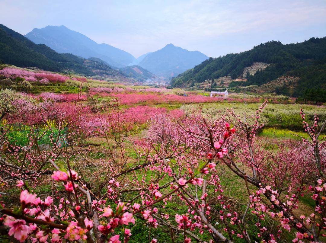 韶关这场马拉松赛周末开跑!多路段交通管制