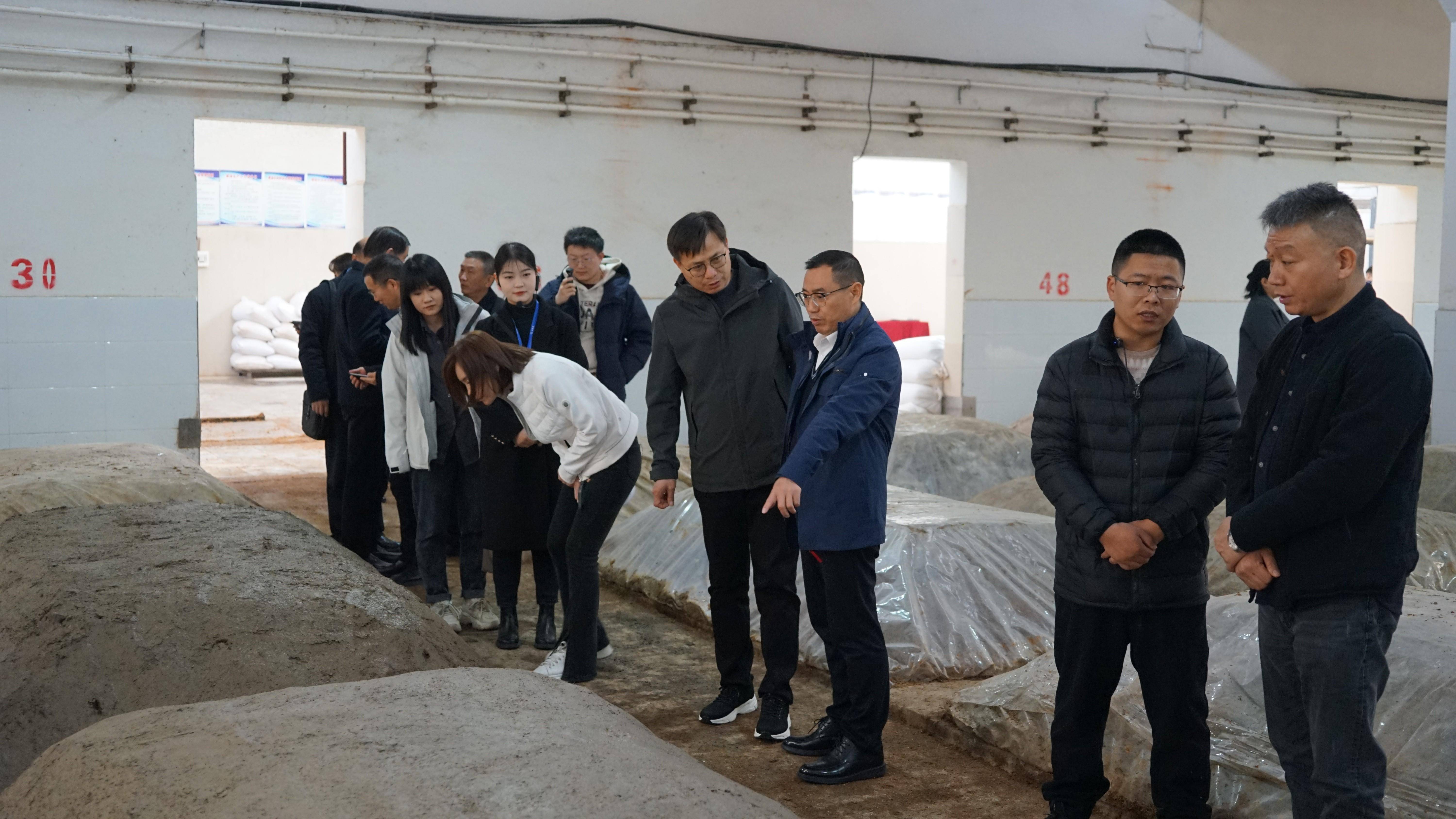 走进淮河之滨寻味中原五粮浓香之美