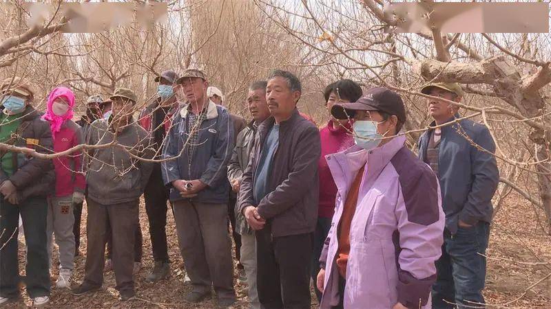 这些天,在敦煌市月牙泉镇鸣山村果园里,技术人员用通俗易懂的语言为
