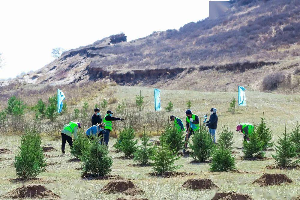 央媒关注|绿"锁"黄沙:中国北部沙漠的"植物活沙障"_内蒙古_正蓝旗