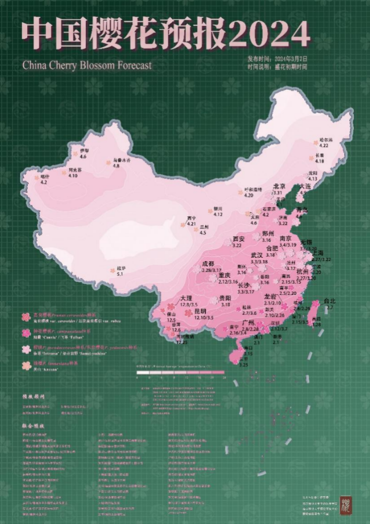 今年我国哪里的樱花会最早绽放南林中国樱花预报2024科普报告告诉你