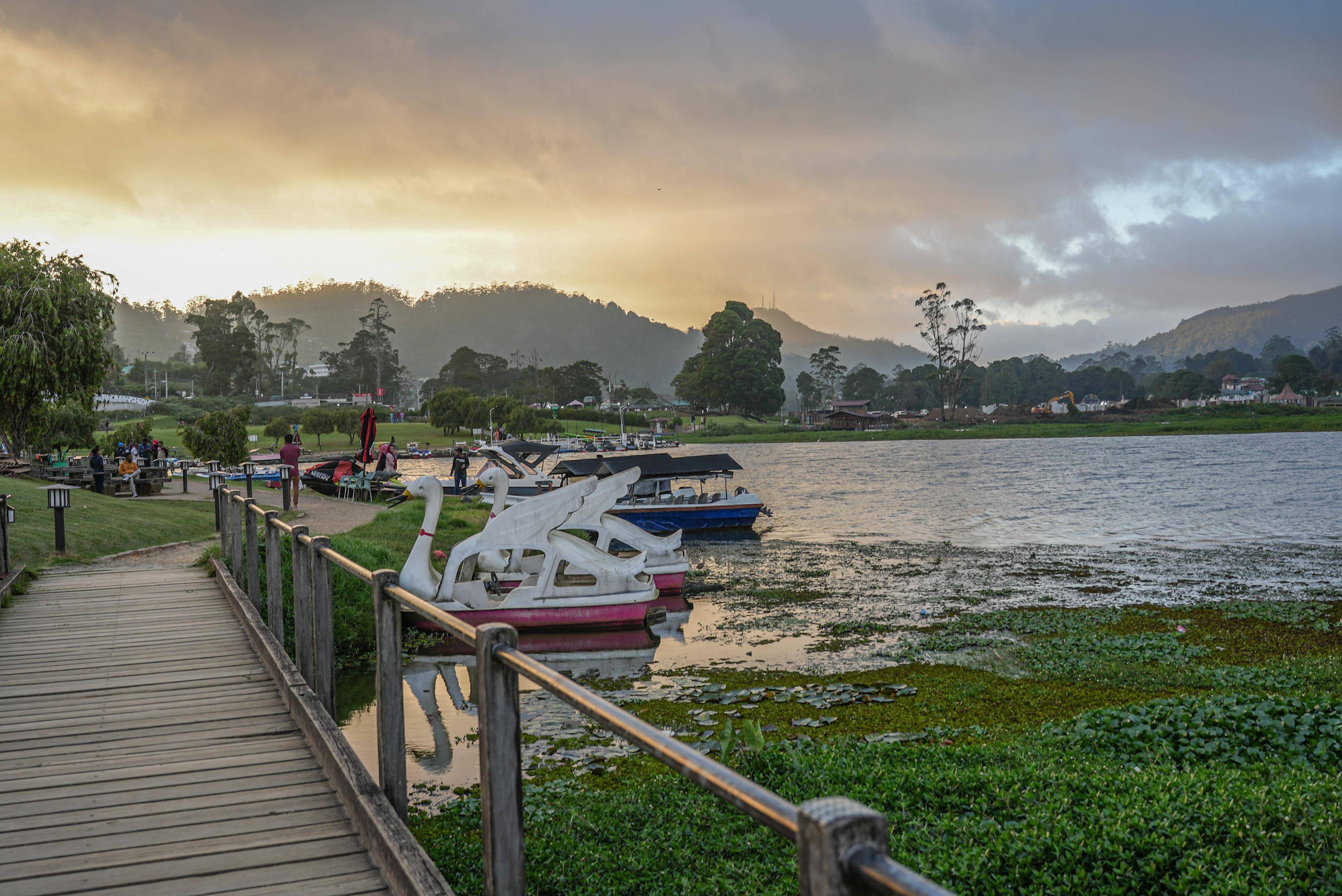 出了趟国,幸福感飙升!斯里兰卡人均不到200住木屋别墅