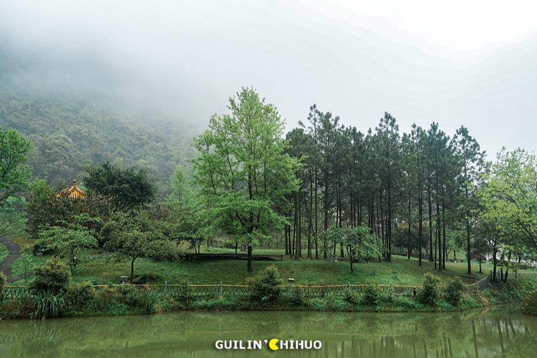桂林大山深处的温泉仙境!趁着春天快去_千家洞_山林_特色