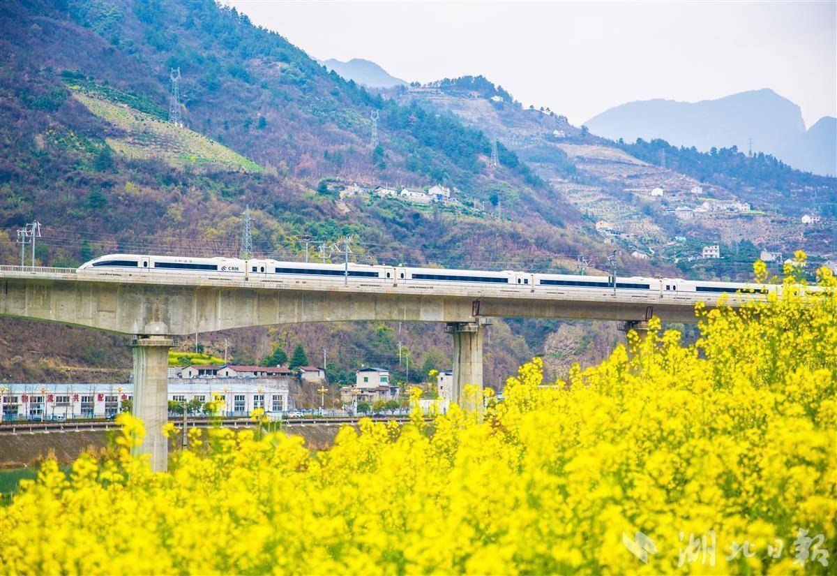 高铁穿行兴山 沿途春和景明