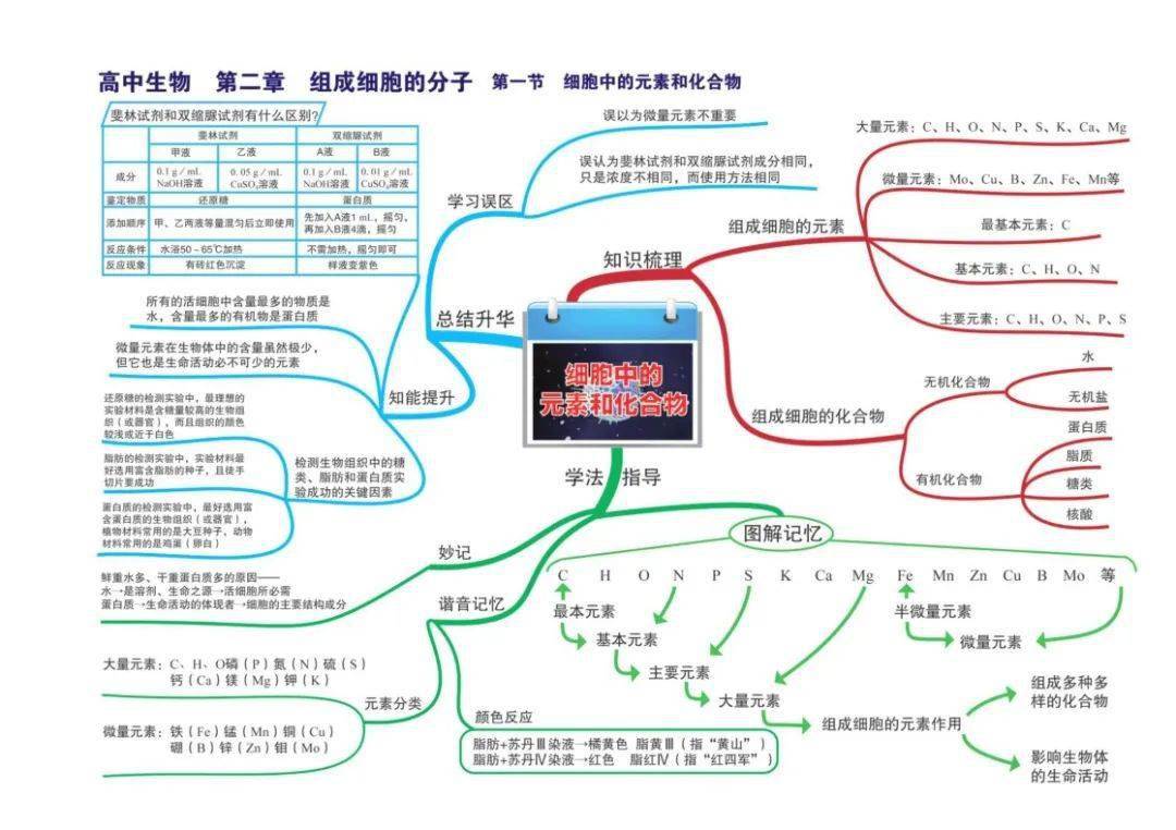 高中生物全套思维导图高清版