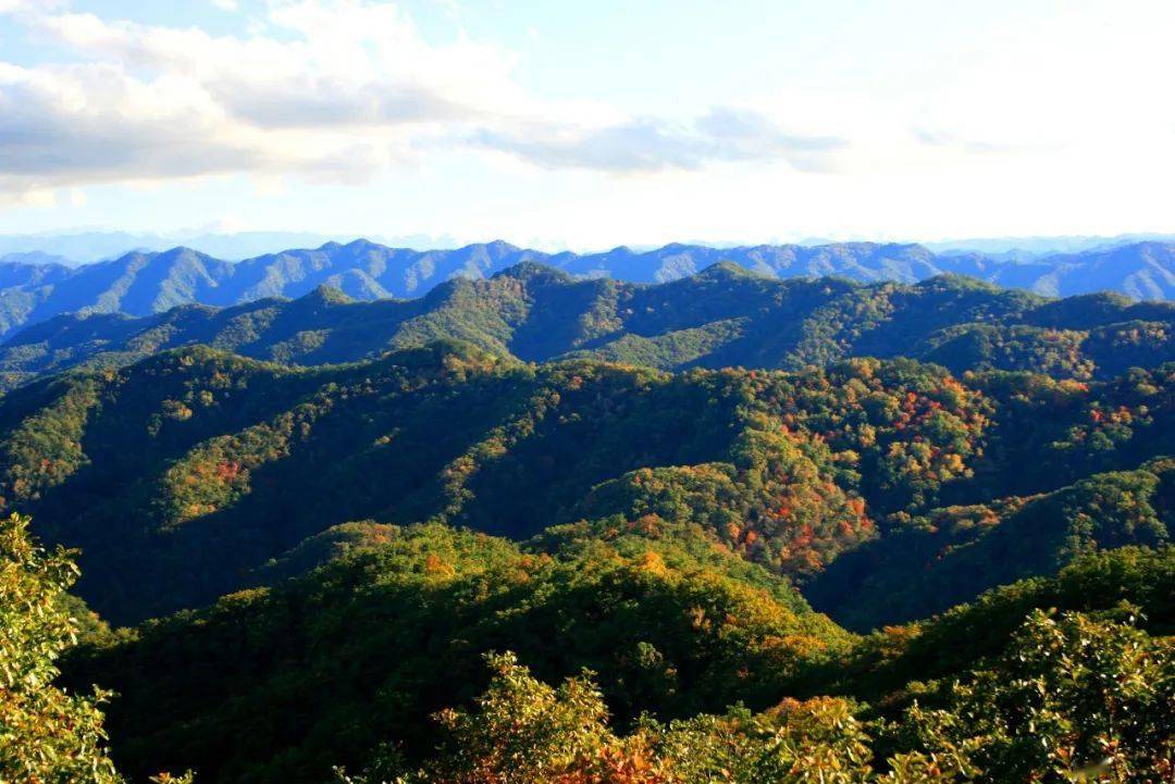 神道岭的秘密