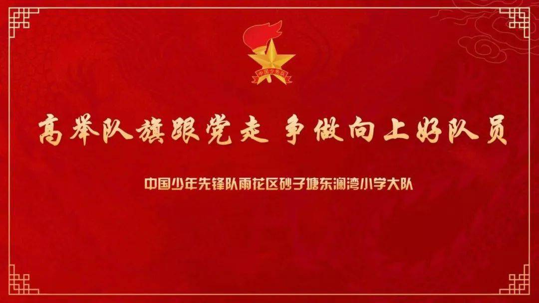 中队风采祝贺2003中队获评2023年度长沙市红领巾奖章三