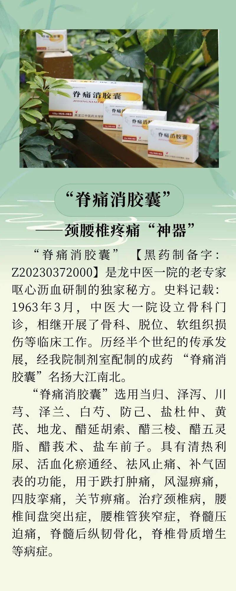 脊痛消胶囊┃龙中医一院院内制剂 疗效显著 广受青睐