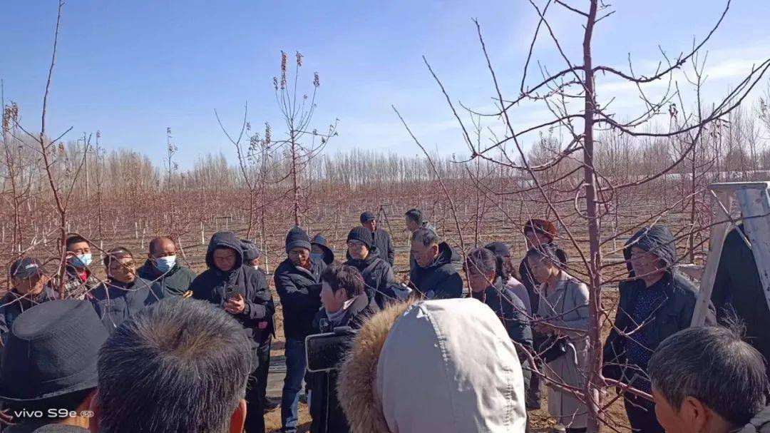 镇级人大黑龙坝镇人大多措并举助推产业发展