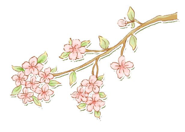 带上帐篷来太湖放肆野
