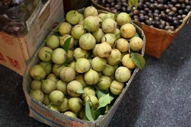 豆蔻果豆蔻有白豆蔻,草豆蔻,肉豆蔻之分,它们都有芳香之气,都可以