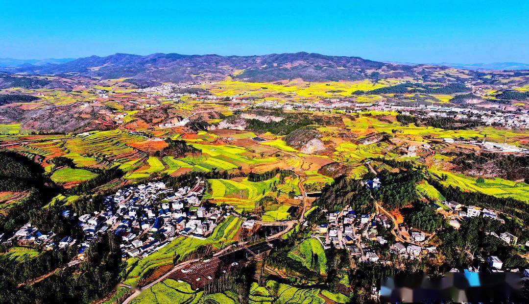 春天走罗平,松毛村油菜花风景美到爆_梯田_马街镇_云南