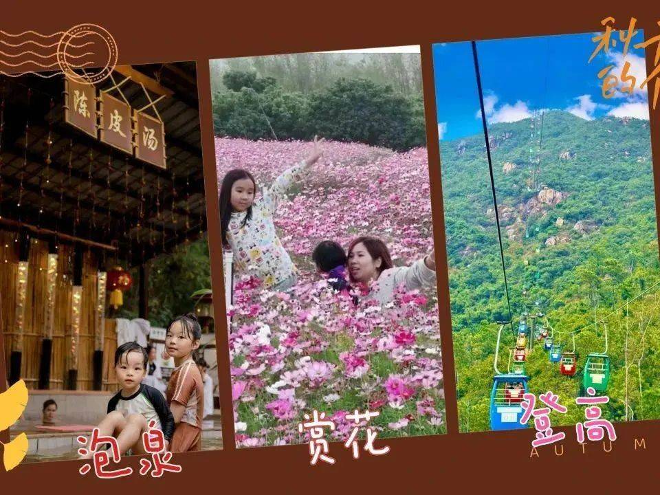 赠送鱼疗和游船环湖【江门·古兜温泉湖景酒店】_陈皮