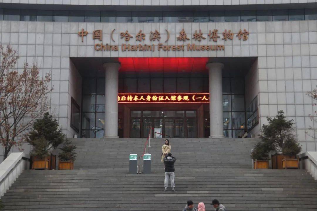 看雪落下的东林
