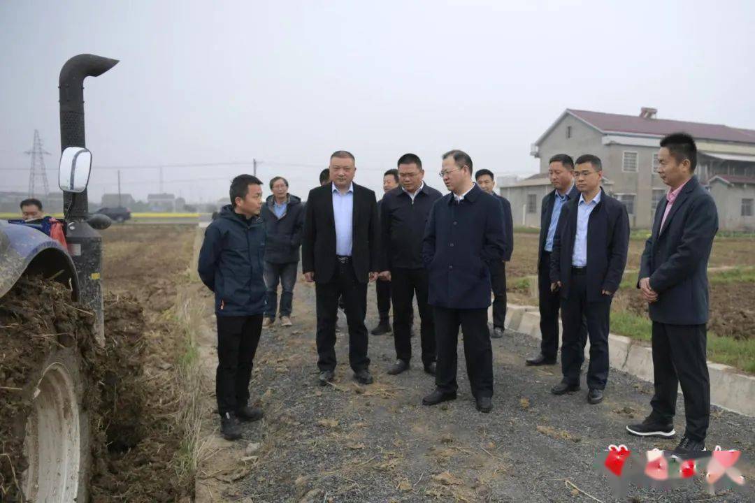 周振宇赴桃源县调研春耕生产和粮食安全工作