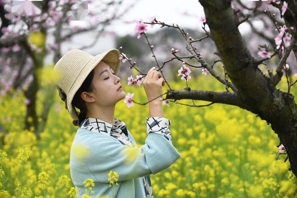 "爽爽贵阳·繁花似锦" 市县两级联动报道⑦丨南明区:春花开遍满城芳_