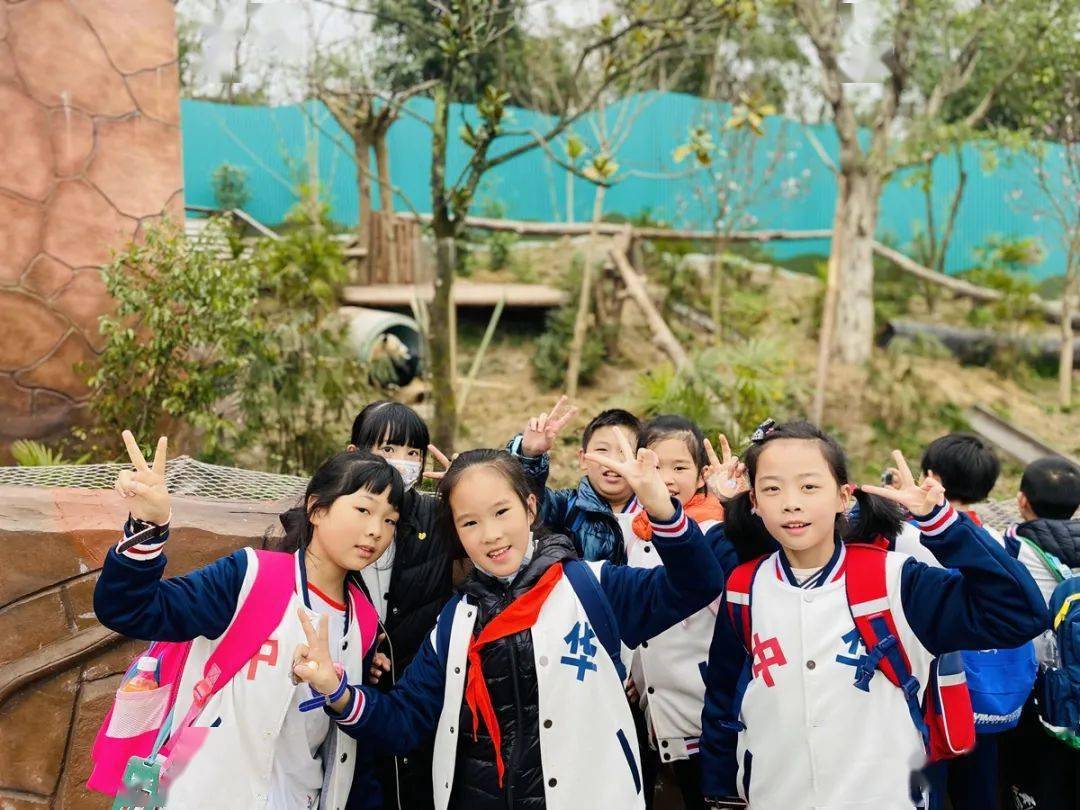 百年中华德育春日好时光一起趣研学丨渝中区中华路小学竹园校区45年级