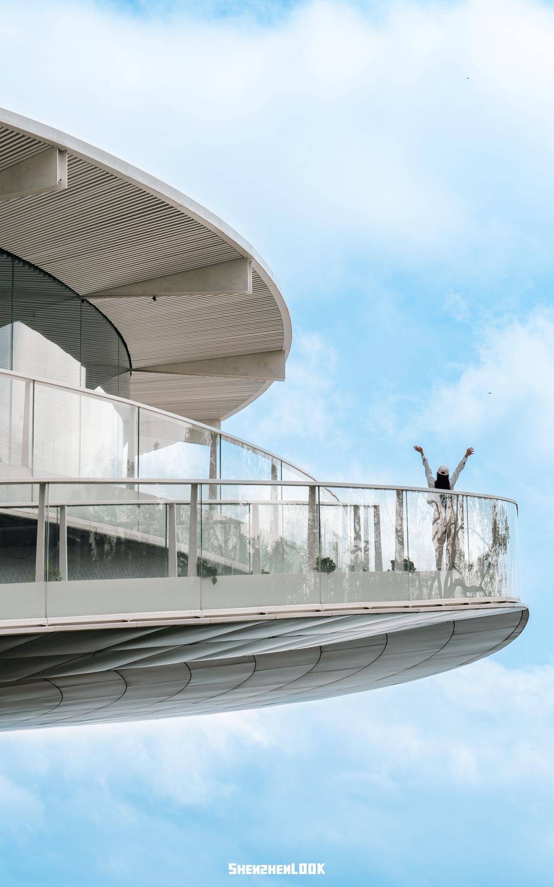 深圳山海新地标,巨型「蒲公英」开放了_梧桐_海山路_公园