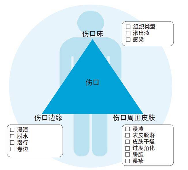 使用伤口评估三角获得伤口愈合的三个真实案例