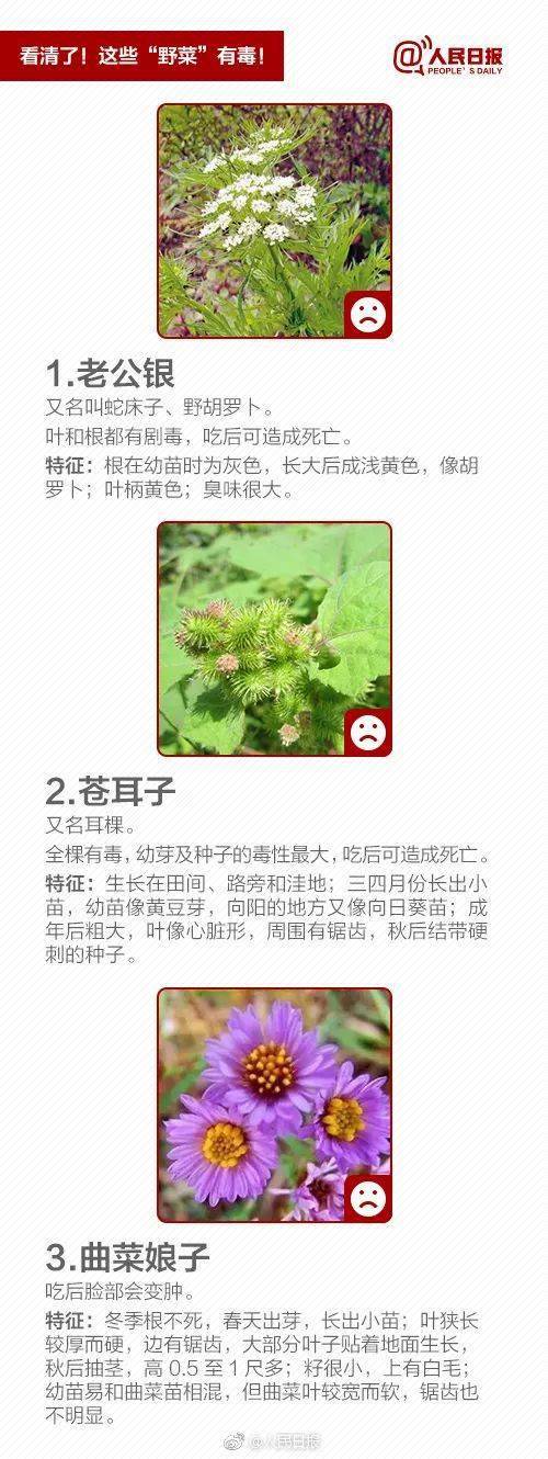 后经当地疾控部门确认,赵先生一家食用的野菜名叫石龙芮,长得很像水