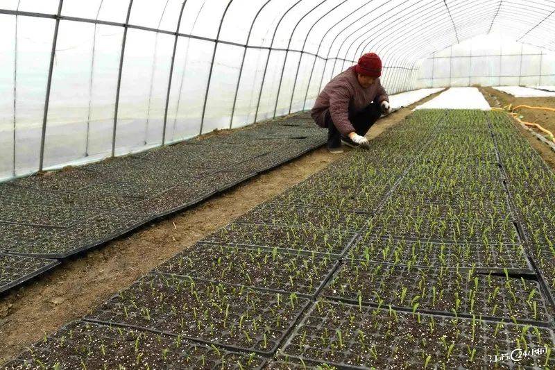 江苏24小时苏州南站工程项目有序推进