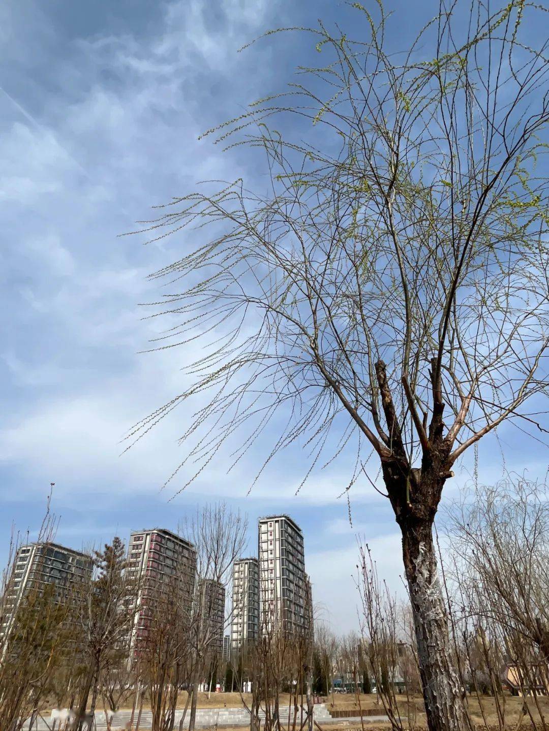 津城天气下周天气抢先看踏青出游防火安全莫大意