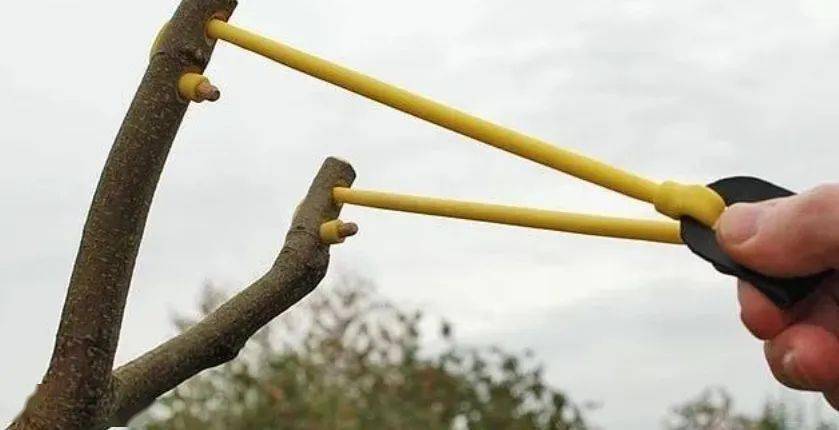 制作:朋课图文来源:英国那些事儿别忘了每天来朋课小打卡中打卡哦!