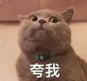 图片来源:网络表情包01采用缓释包裹技术,让皮肤更好接纳水杨酸虽然